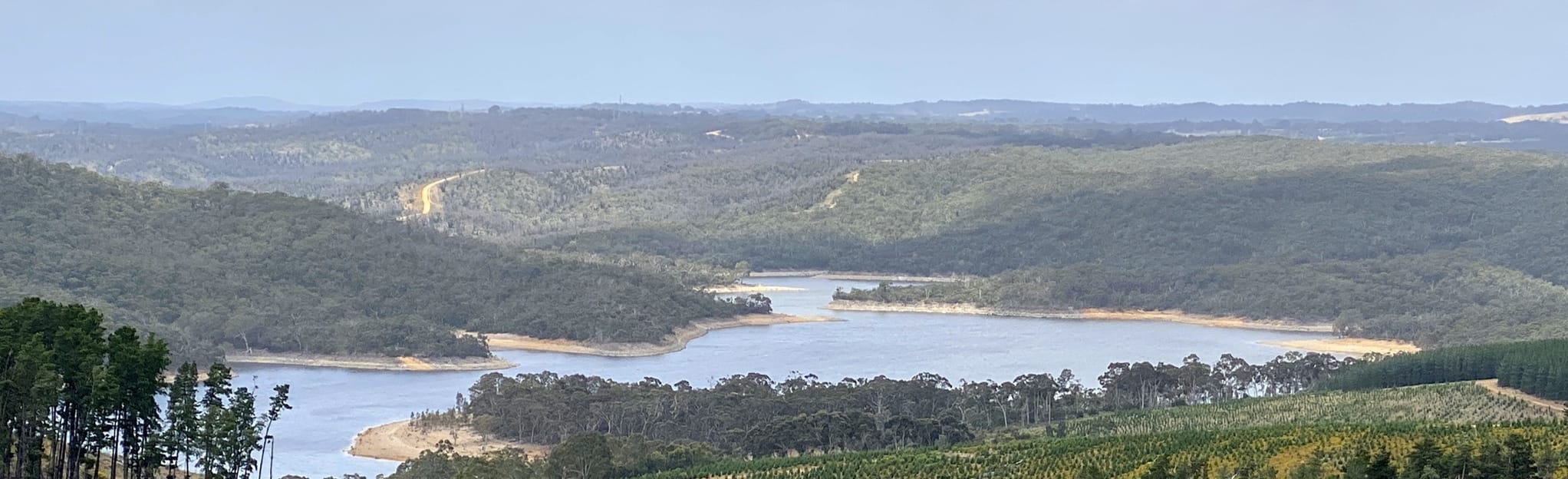 Mount Bold Reservoir Forest Loop, South