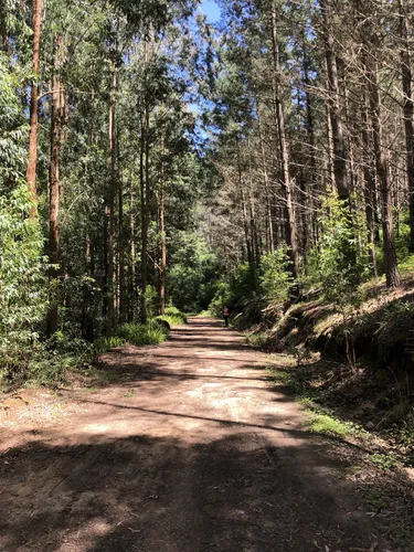 10 Best Trails and Hikes in George | AllTrails