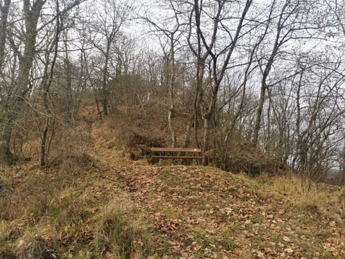 Monrealer Ritterschlag (Traumpfad)