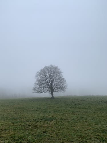 Fuchskaute - Drei-Länder-Eck Rundwanderung R3