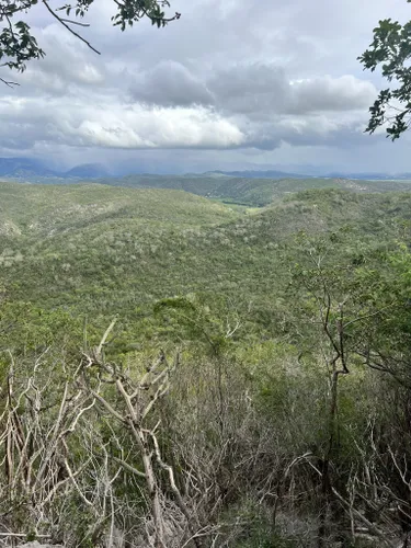 10 Best Hikes and Trails in Guanica State Forest | AllTrails