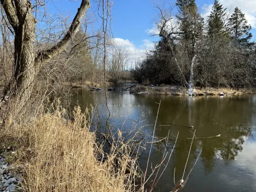 Best Hikes and Trails in Chippewa Nature Center AllTrails