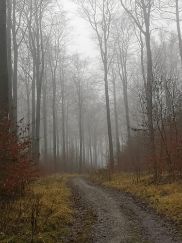 Hohes Gras - Naturpark-Rundweg 10