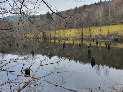 Naturschutzgebiet Lochborn von Bieber ab Wiesbüttsee