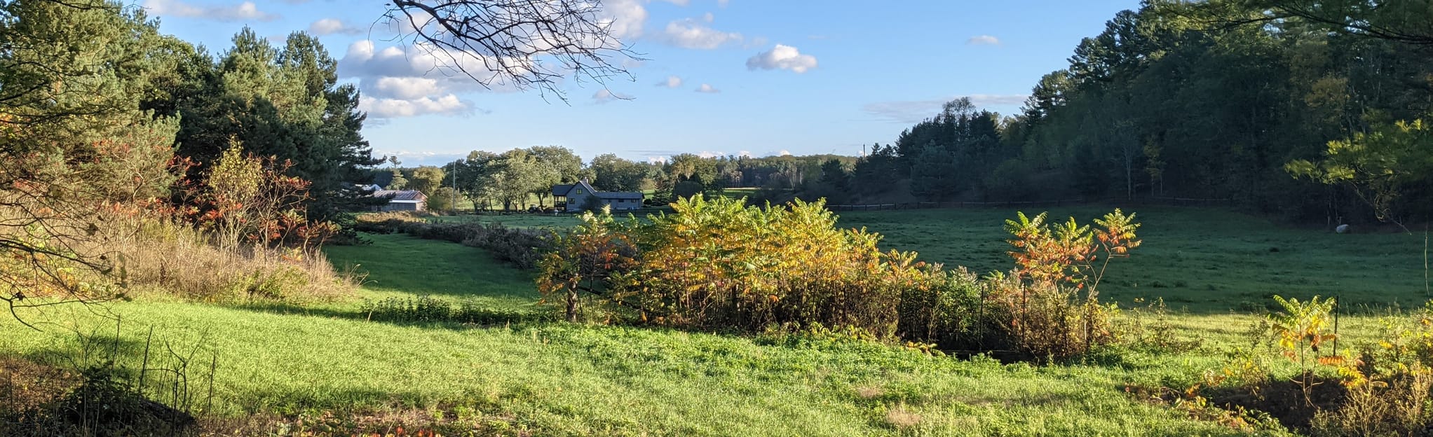 Ganaraska Oak Ridges Trail, Ontario, Canada 67 Reviews, Map AllTrails