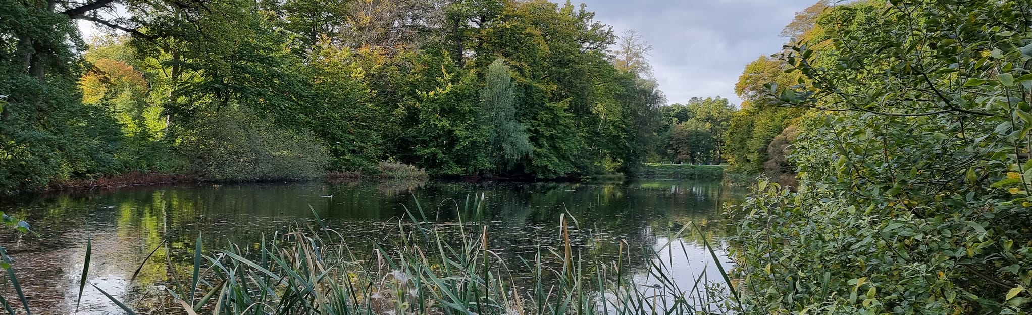 Lillerød - Hillerød - Gribskoven, Capital Region of Denmark, Denmark ...