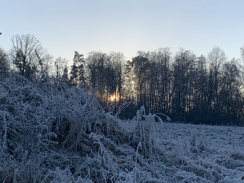 Kaufunger Wald: Rundweg 14 - Königs-Alm