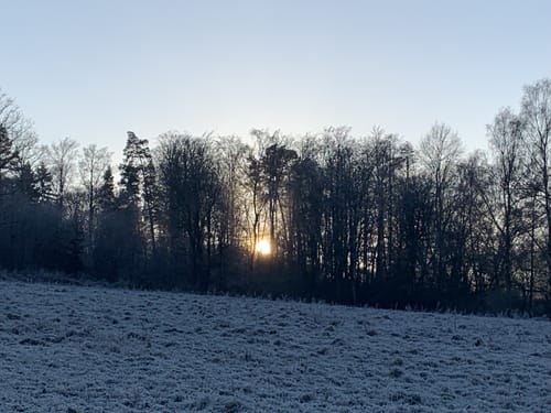 Kaufunger Wald: Rundweg 14 - Königs-Alm