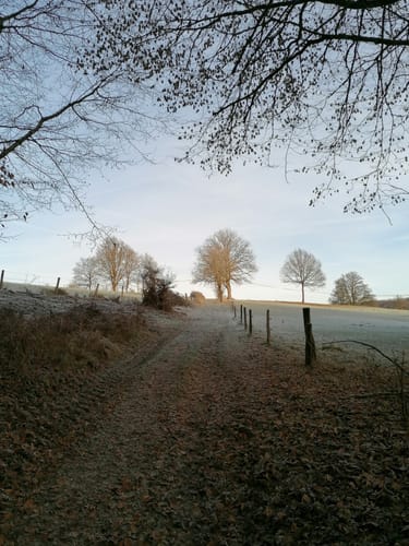 Waldmythenweg Waldbröl
