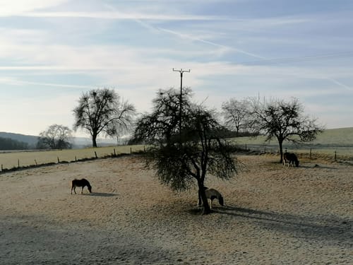 Waldmythenweg Waldbröl