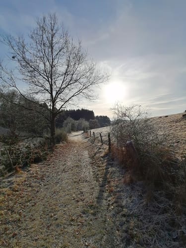 Waldmythenweg Waldbröl