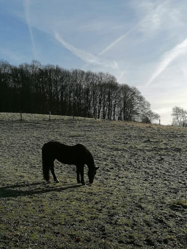 Waldmythenweg Waldbröl