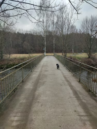 Zum Kunnerstein ab Erdmannsdorf