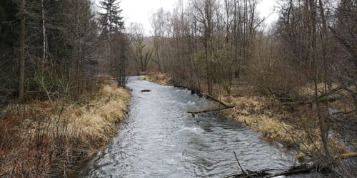 Rund um Freiberg