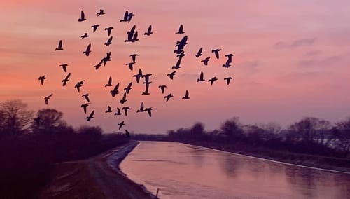Neufinsing - Speichersee