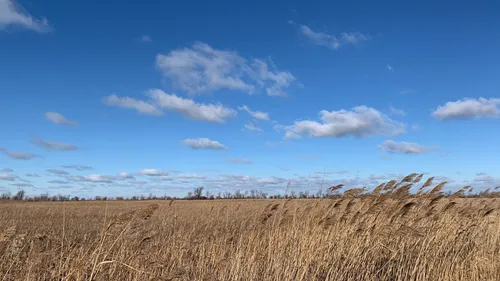 Best Hikes and Trails in St. Clair National Wildlife Area AllTrails