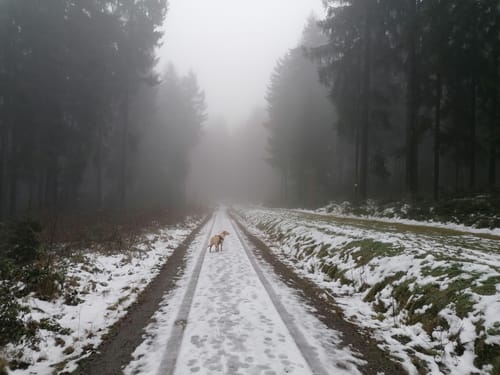 3-Gipfel Weg Hirschau
