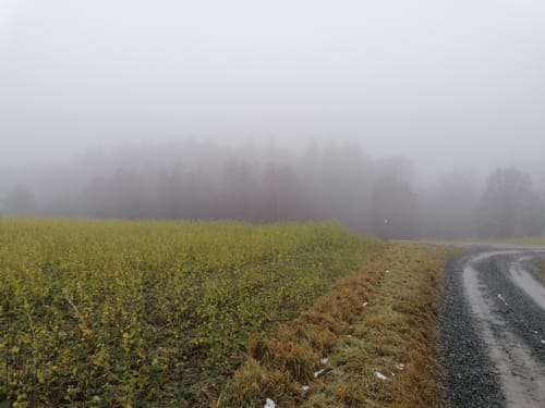 3-Gipfel Weg Hirschau