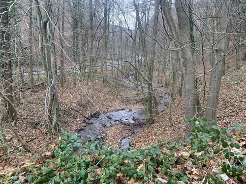 Rundwanderweg Kallstädter Tal 3: Buchklinger Weg