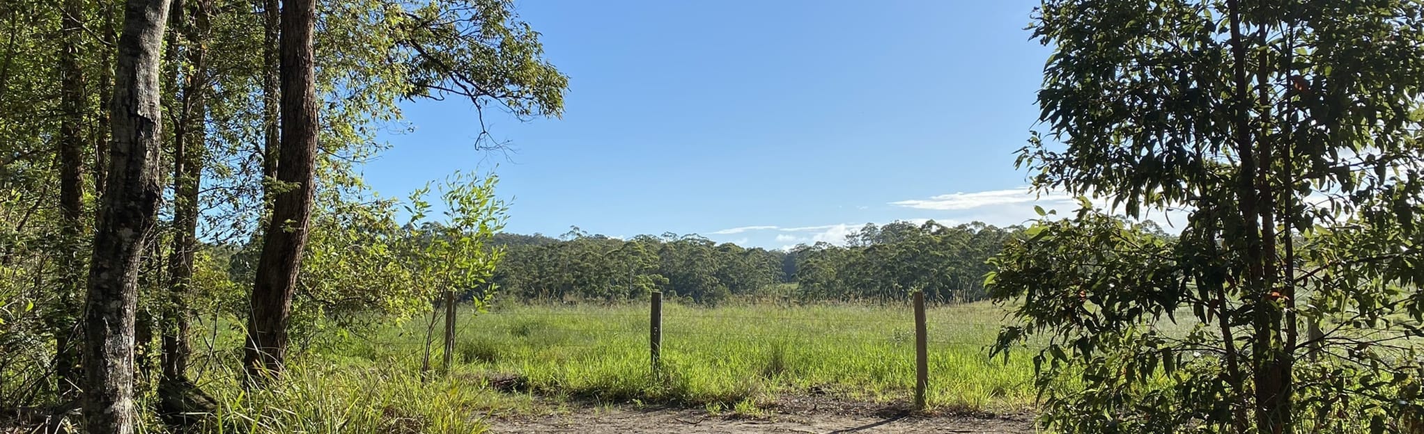 Blackbutt, Figbird and Ironbark Track 81 Reviews, Map Queensland