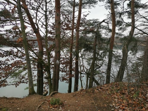 Um den Mönchwaldsee