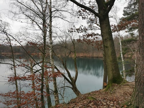 Um den Mönchwaldsee