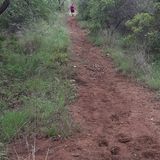 B'sorah Trail, North West, South Africa - 170 Reviews, Map | AllTrails