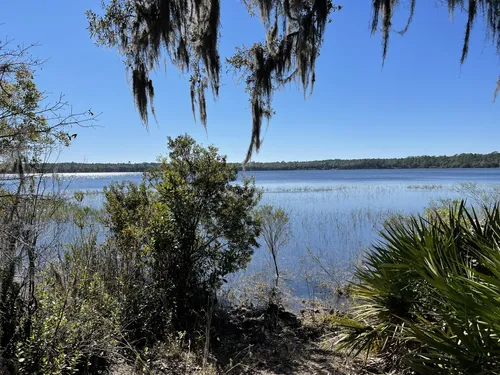 Best Hikes and Trails in Camp Blanding Wildlife Management Area | AllTrails