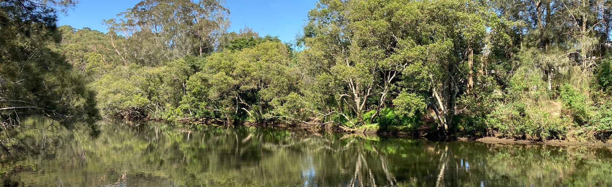 Lane Cove North Circuit New South Wales, Australia AllTrails