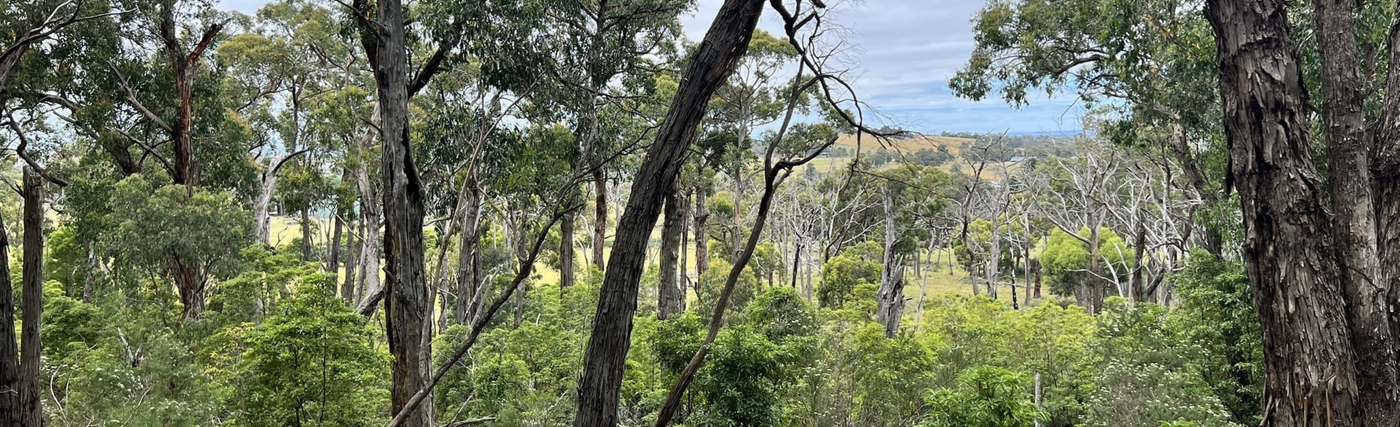 Pakenham Loop via Cardinia Aqueduct Trail, Victoria, Australia 38