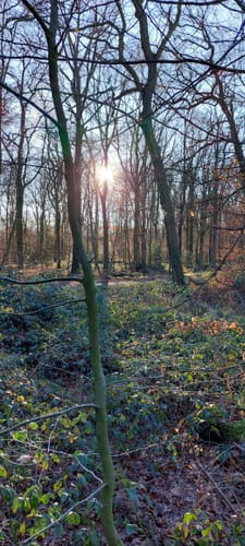 Netteberge Rundweg A2