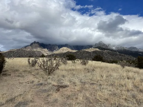 Domingo Baca Trail #230, New Mexico - 1,849 Reviews, Map