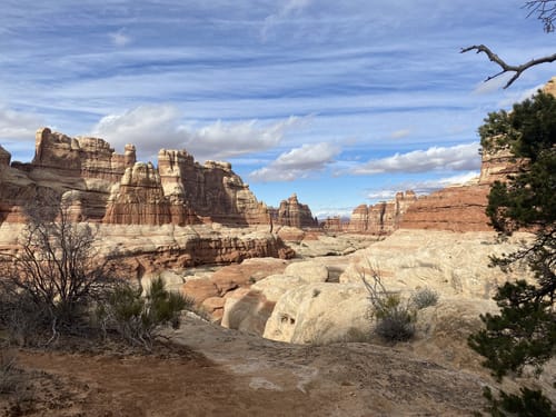 Alltrails canyonlands hotsell