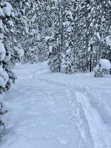 Best Hikes and Trails in Bumping Lake Sno-Park | AllTrails