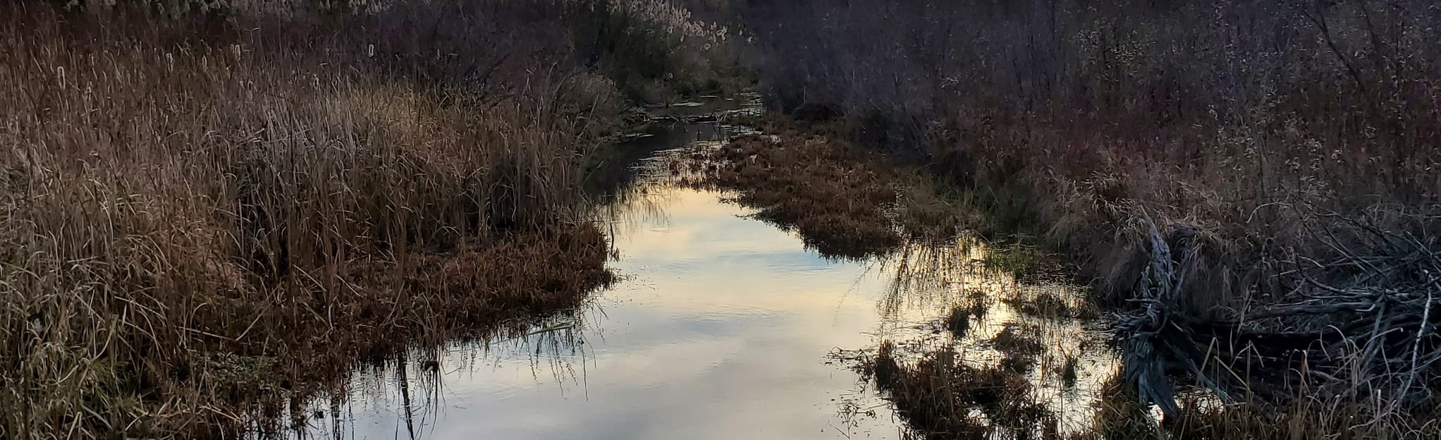 Tichigan Wildlife Area Loop 69 Reviews, Map Wisconsin AllTrails