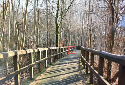 Durch den Vareler Wald