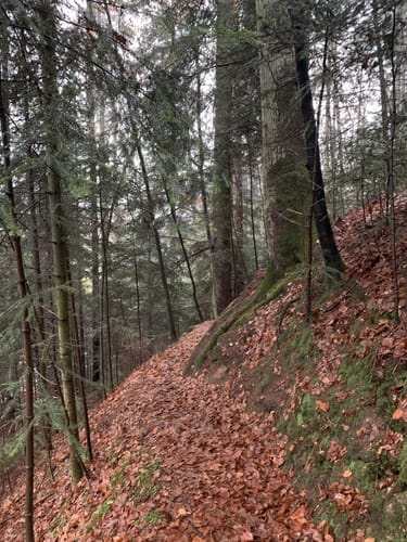 Mundingen - Tennenbach - Allmendsberg