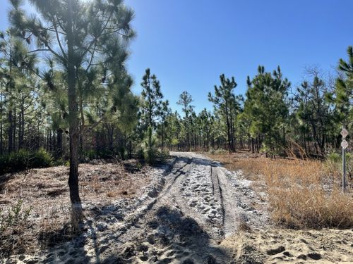 Best Hikes and Trails in Lewis Ocean Bay Natural Heritage Preserve ...