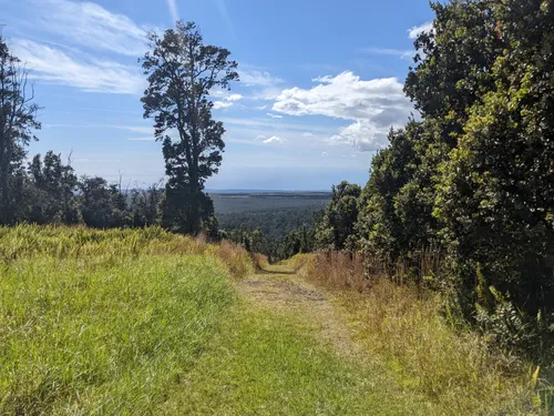 Best 10 Hikes and Trails in Hawai'i Volcanoes National Park | AllTrails