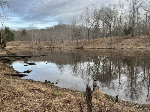 2023 Best Wildlife Trails in Central Kentucky Wildlife Refuge | AllTrails