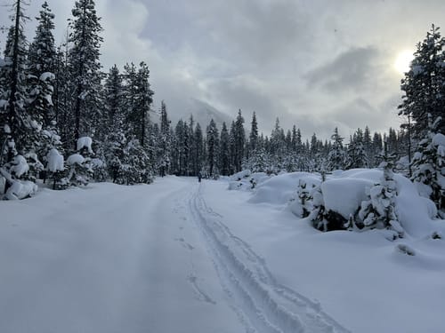 Best Hikes and Trails in Bumping Lake Sno-Park | AllTrails