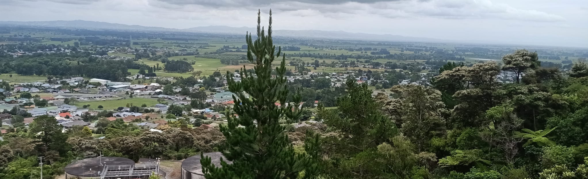 Te Aroha MTB Tracks, 4 Fotos Waikato, New Zealand AllTrails