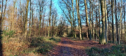Netteberge Rundweg A2
