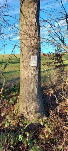 Netteberge Rundweg A2