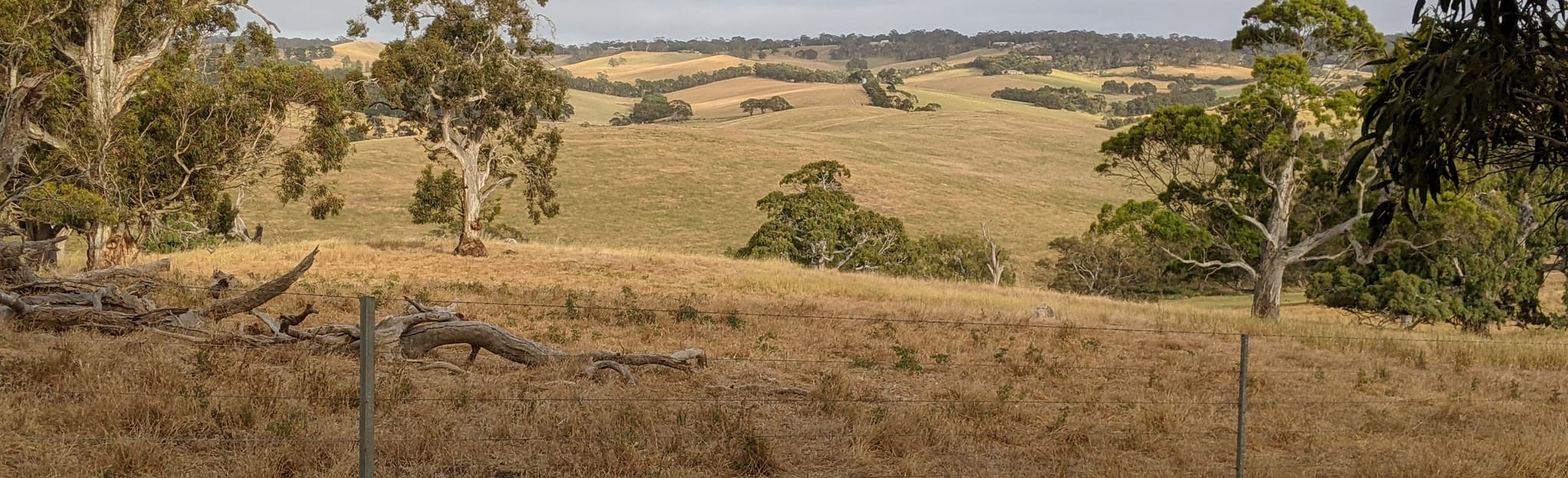 Bugle Ranges Loop, South Australia, Australia 12 Reviews, Map AllTrails