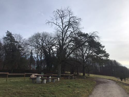 Dossenbach - Eichener See