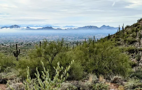 7 Must-Visit Parks in Scottsdale, AZ