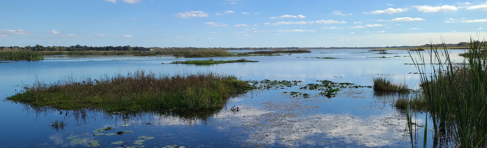 South Lake Trail: 40 Reviews, Map - Florida | AllTrails