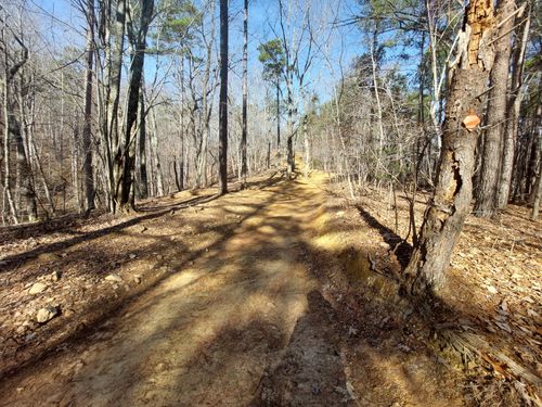 National Forests In North Carolina Uwharrie National Recreation Trail ...