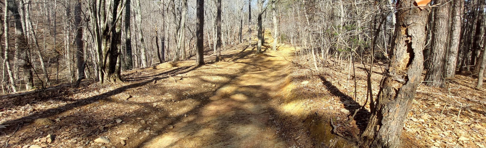 uwharrie mtb trails